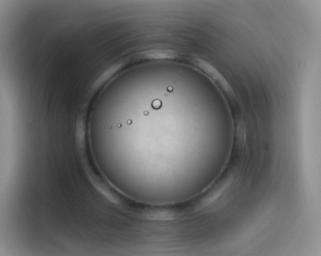 X0000114120533200910131405