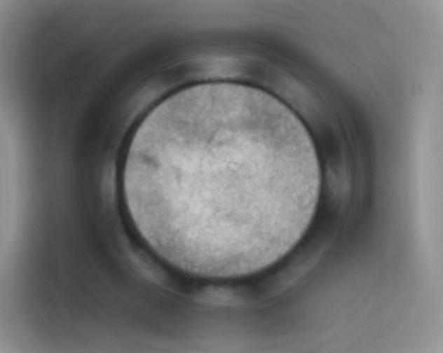 X0000114120534200910131405