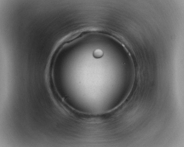 X0000114120536200910131405