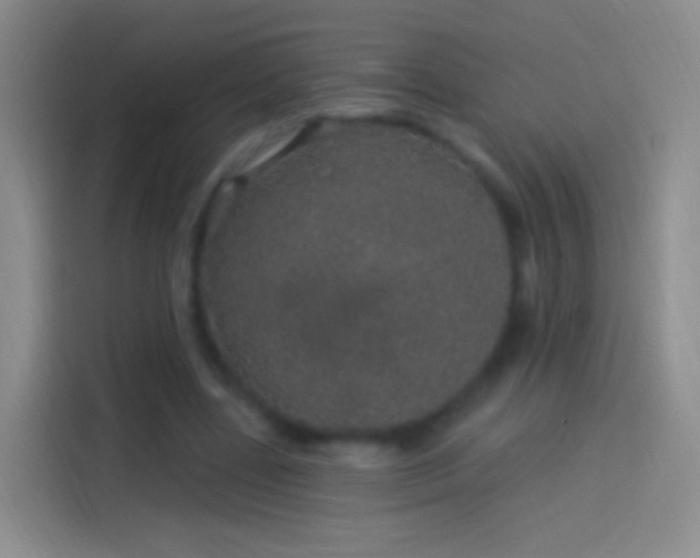 X0000114120539200910131405