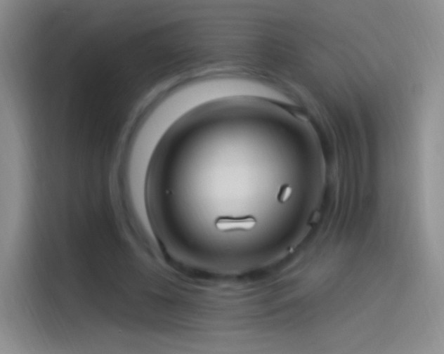 X0000114120540200910131406