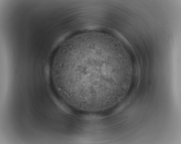 X0000114120542200910131406