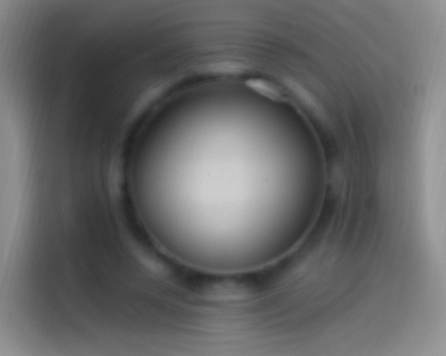 X0000114120544200910131406