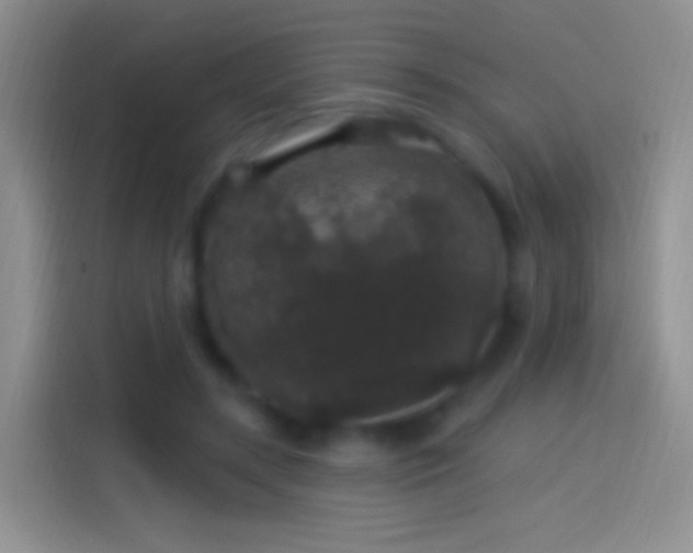 X0000114120547200910131406