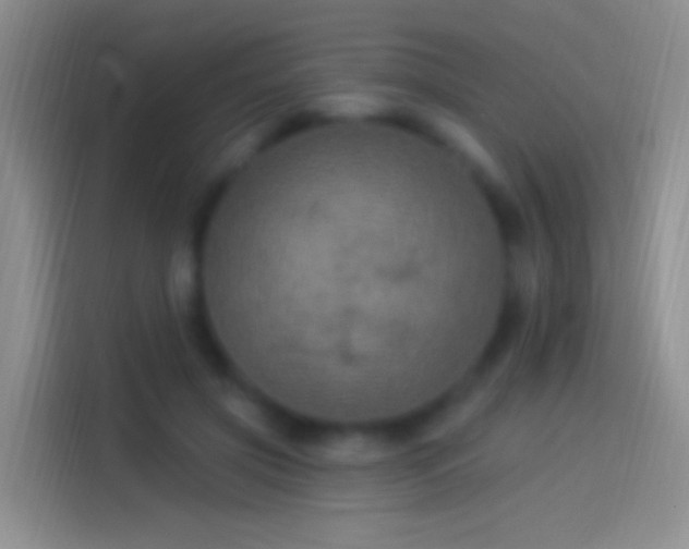 X0000114120549200910131406