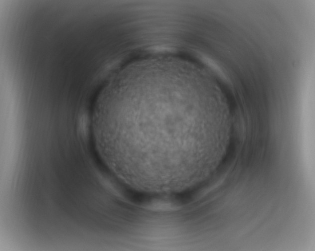 X0000114120550200910131406