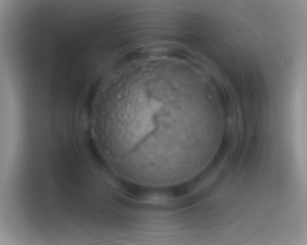 X0000114120555200910131406