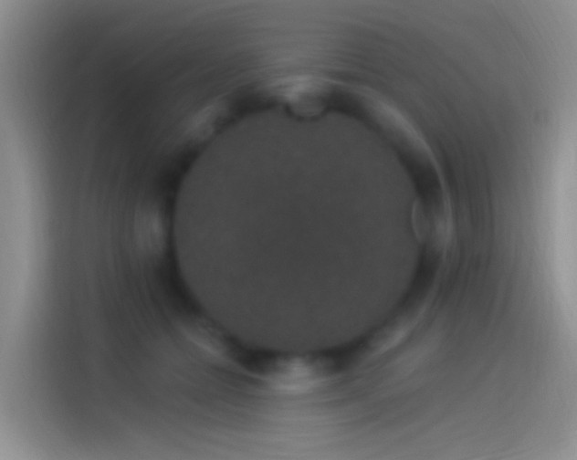 X0000114120558200910131406