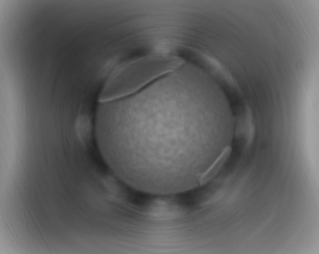 X0000114120560200910131406