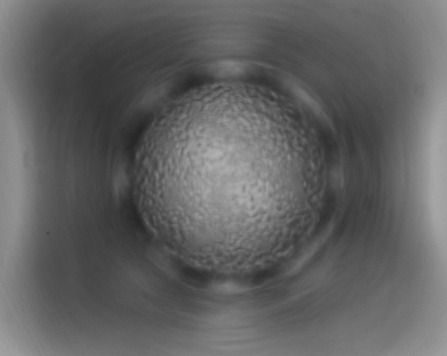 X0000114120561200910131406