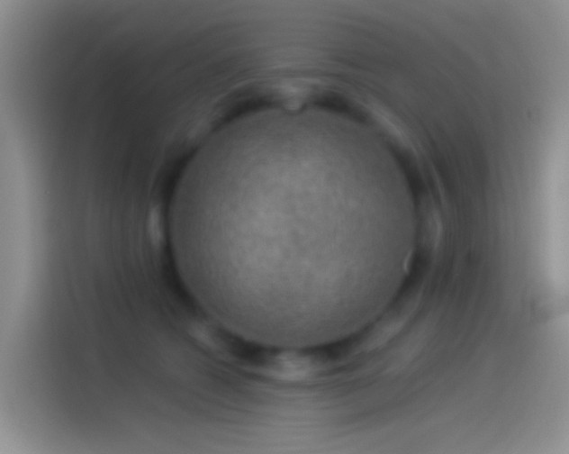 X0000114120562200910131406