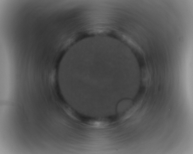 X0000114120563200910131406