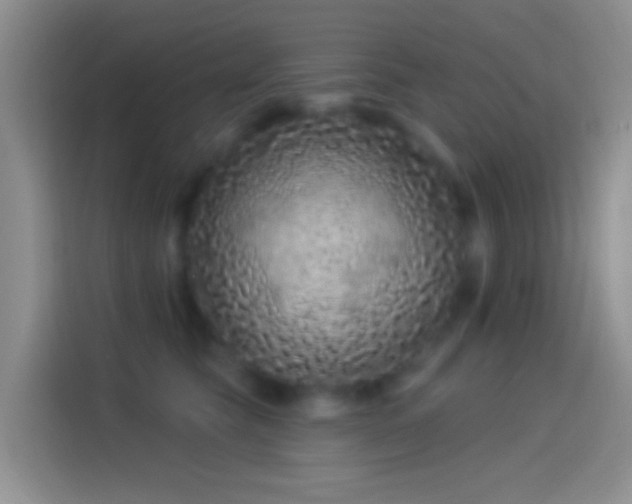 X0000114120565200910131406