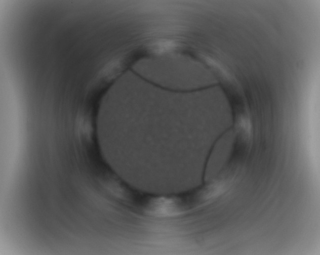 X0000114120566200910131406