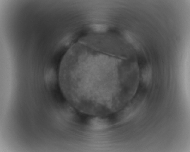 X0000114120568200910131406