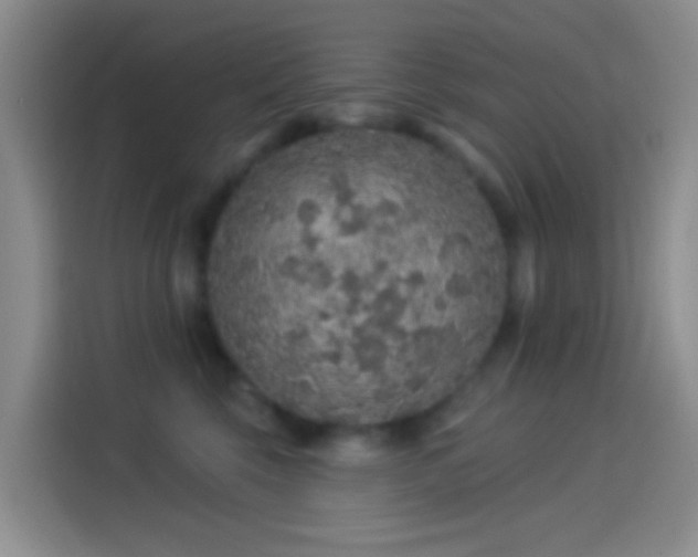 X0000114120569200910131406