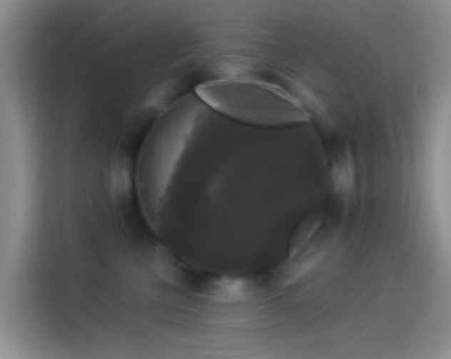 X0000114120570200910131406