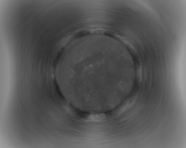 X0000114120571200910131406