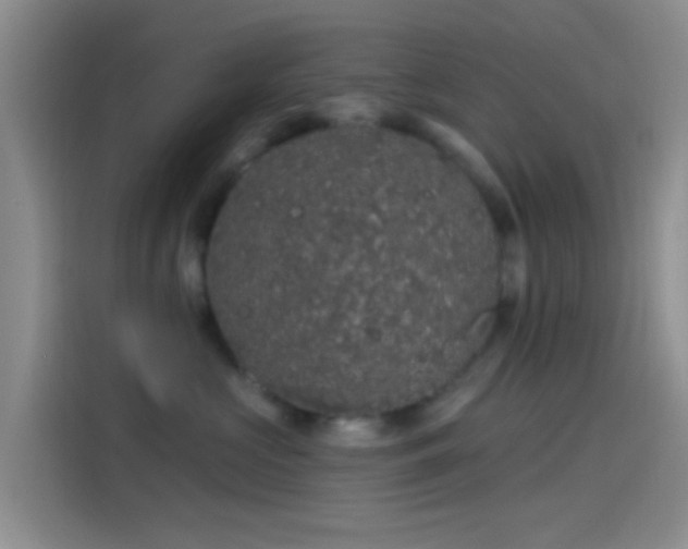 X0000114120573200910131406