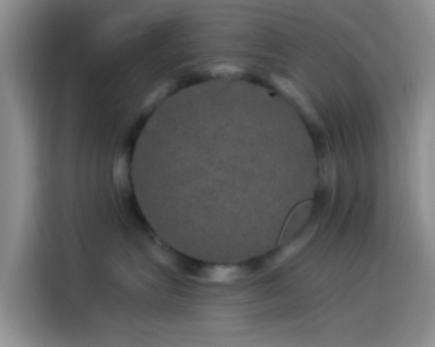 X0000114120575200910131406