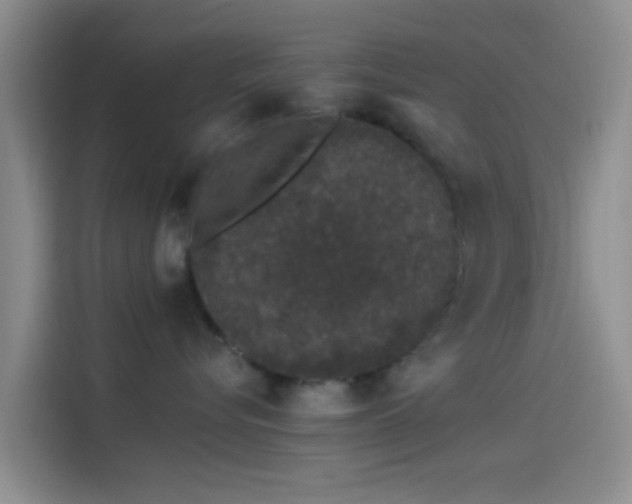 X0000114120576200910131406