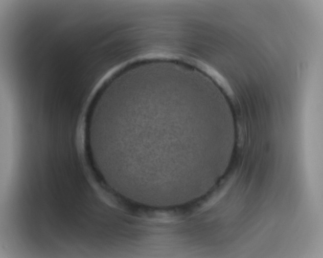 X0000114120580200910131405