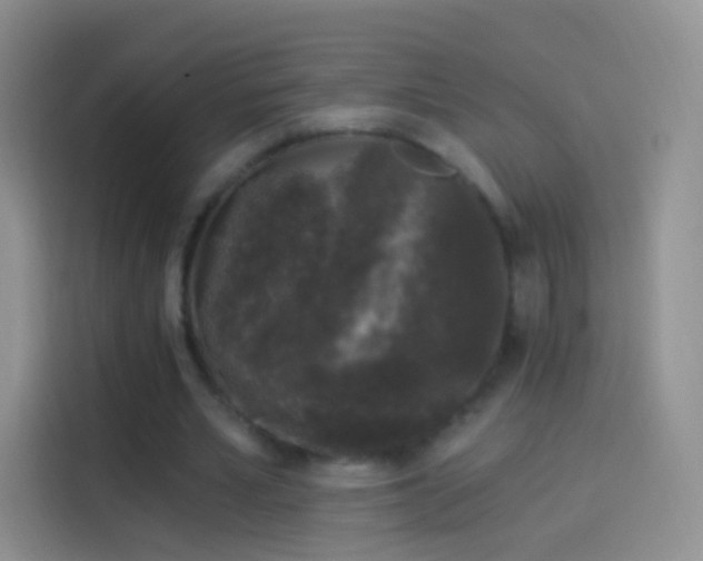 X0000114120581200910131405