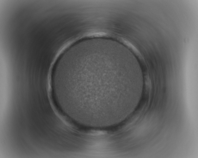 X0000114120582200910131405