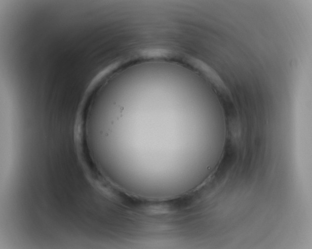 X0000114120583200910131405