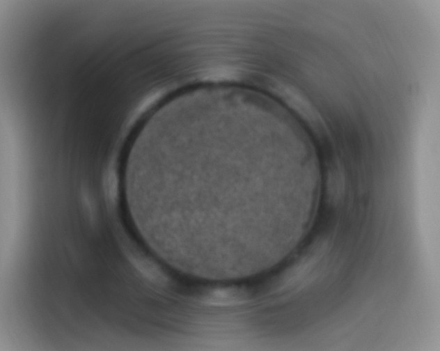 X0000114120584200910131405