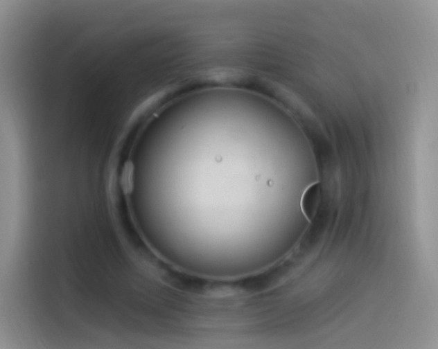 X0000114120587200910131405