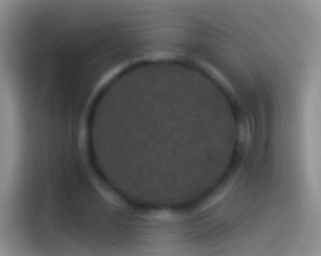 X0000114120588200910131405