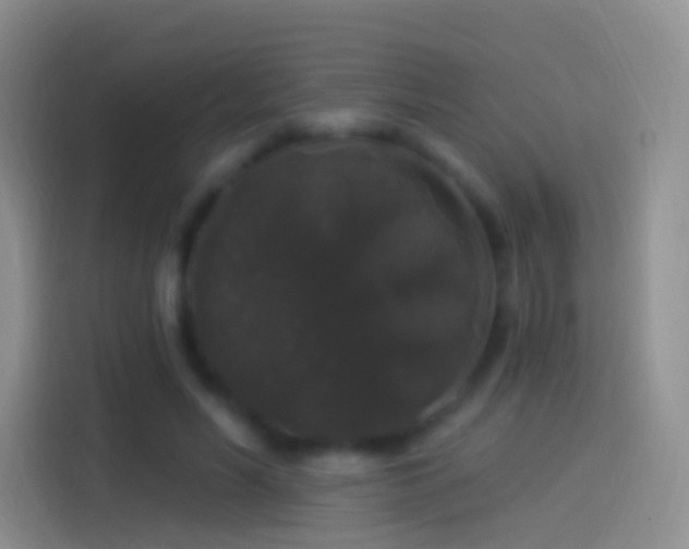 X0000114120590200910131405