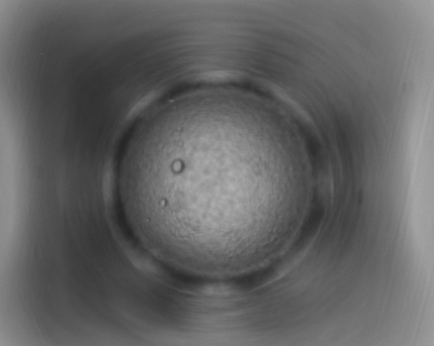 X0000114120591200910131405