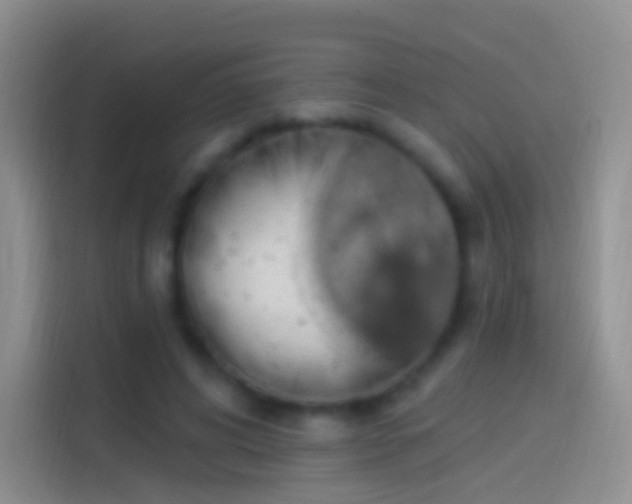 X0000114120592200910131405