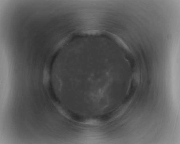 X0000114120593200910131405