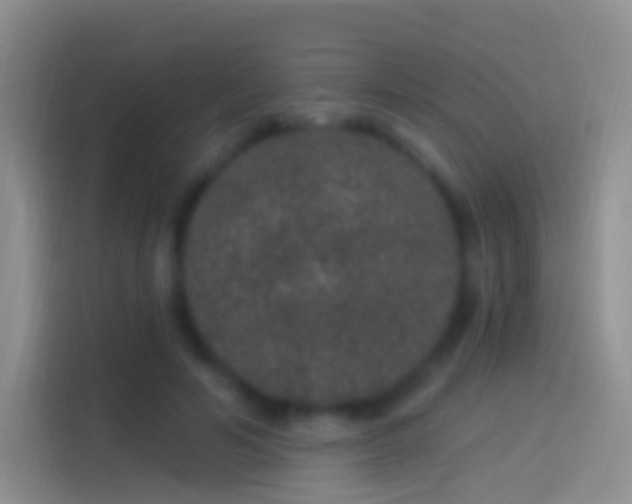 X0000114120594200910131405