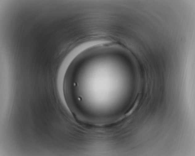 X0000114120595200910131405