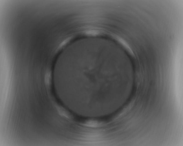 X0000114120596200910131405