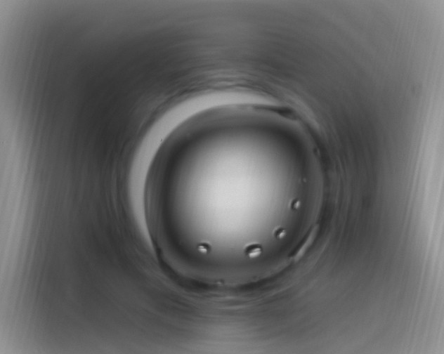 X0000114120597200910131405