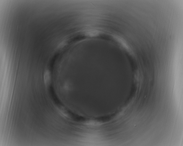 X0000114120598200910131405