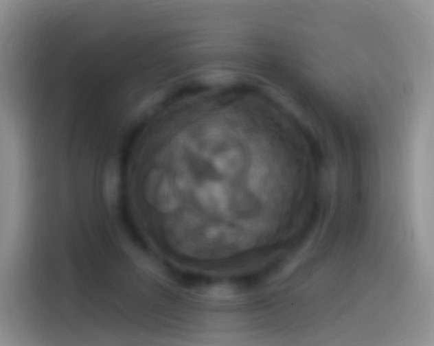 X0000114120600200910131405