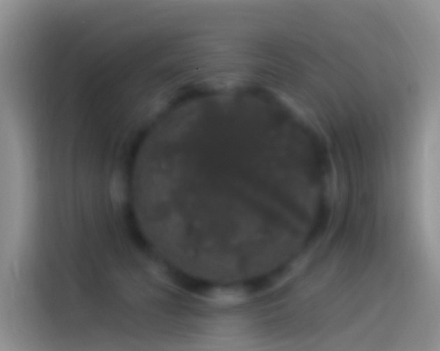 X0000114120606200910131405