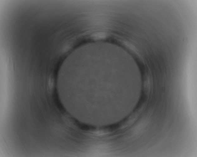 X0000114120608200910131405