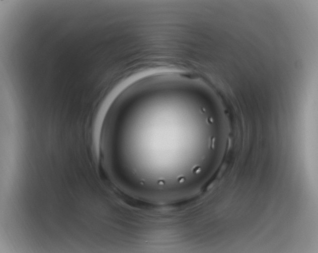 X0000114120609200910131405