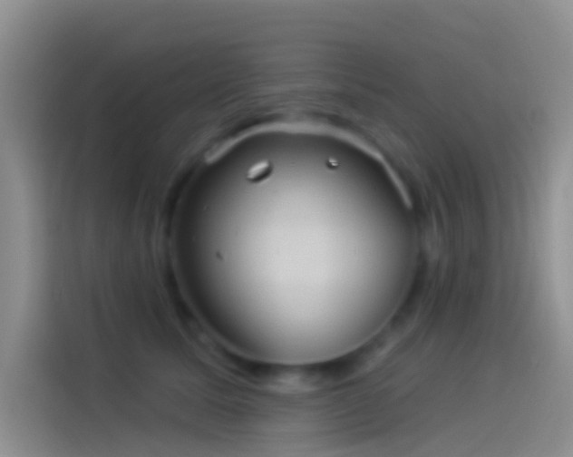 X0000114120611200910131405