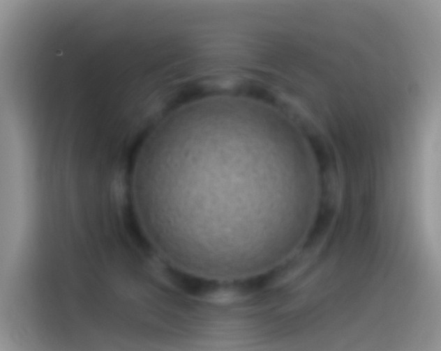 X0000114120612200910131405