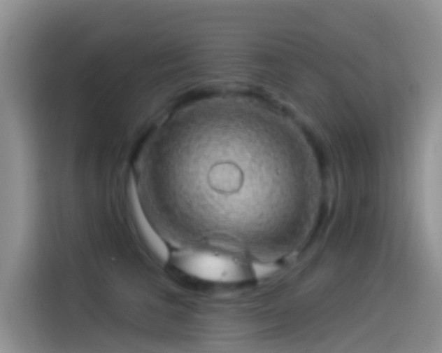 X0000114120613200910131405