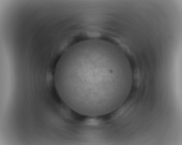 X0000114120614200910131405