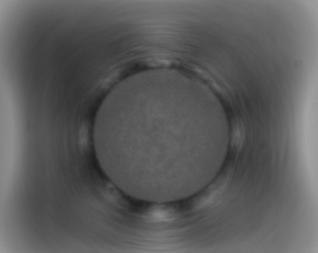 X0000114120616200910131405